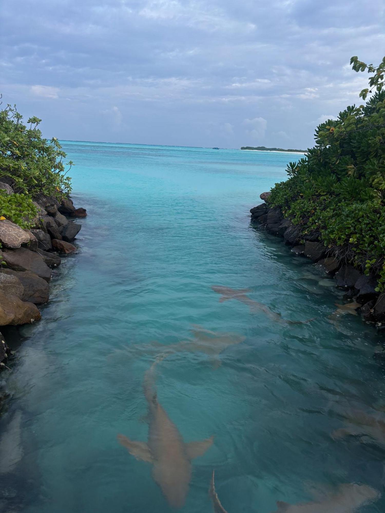 Kuda Giri Hotel Mathiveri Luaran gambar